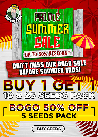 Crop King Seeds Prime Summer sale