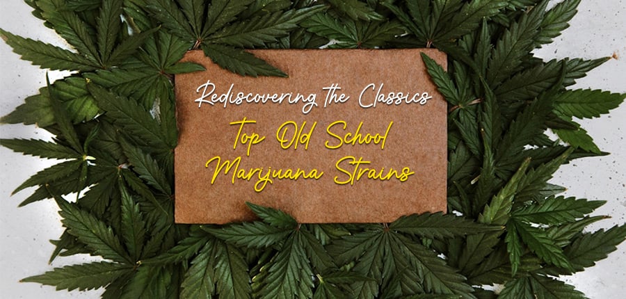 Top Old School Marijuana Strains