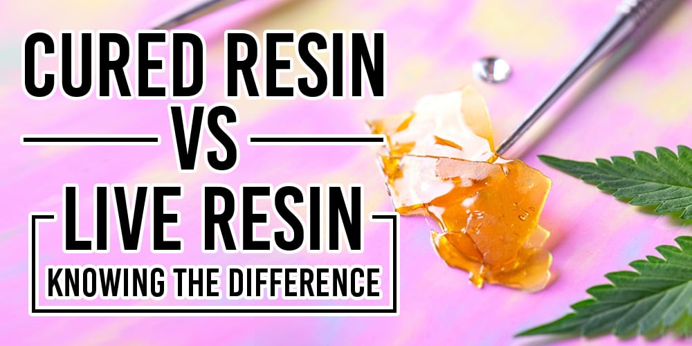 cured resin vs live resin