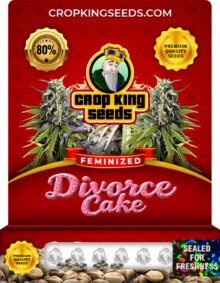 Divorce Cake Strain