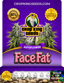 Face Fat Strain