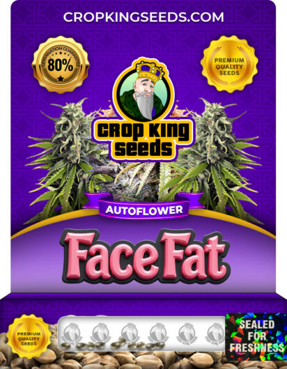 Face Fat Strain