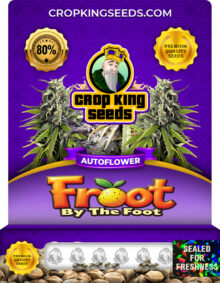 Froot by the Foot Strain