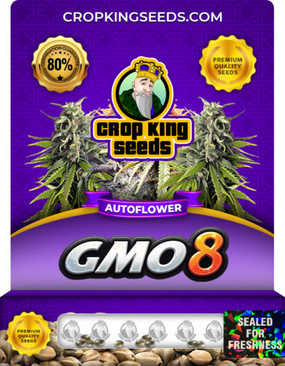 GMO 8 Strain