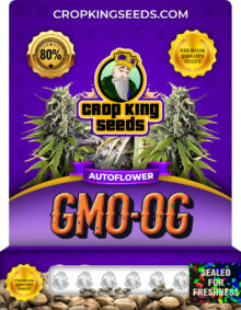 GMO OG Strain