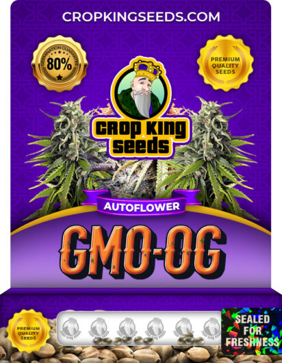 GMO OG Strain