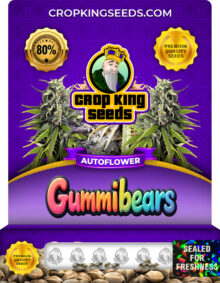 Gummibears Strain