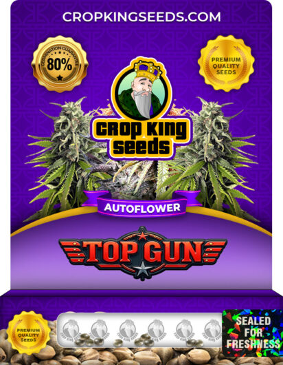 Top Gun Strain