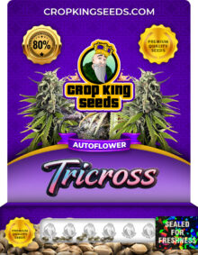 Tricross Strain