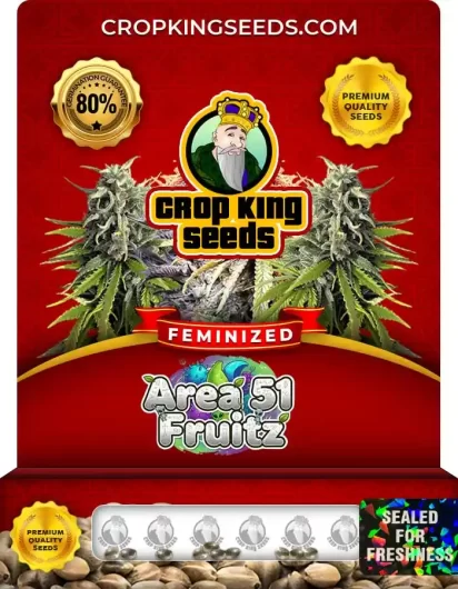 Area 51 Fruitz Strain