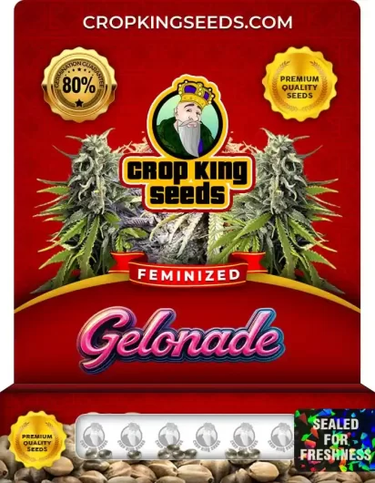Gelonade Strain