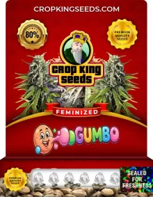 Gumbo Feminized