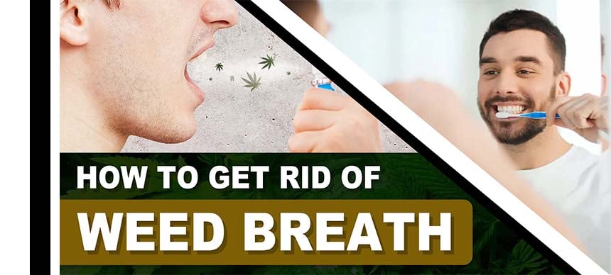 How to Get Rid of Weed Breath