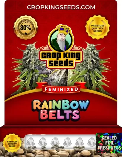 Rainbow Belts Feminized