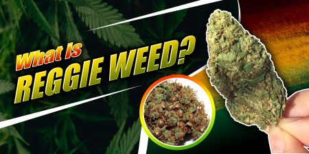 Reggie Weed