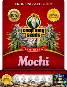 Mochi Feminized