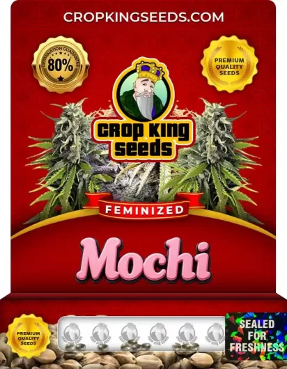 Mochi Feminized