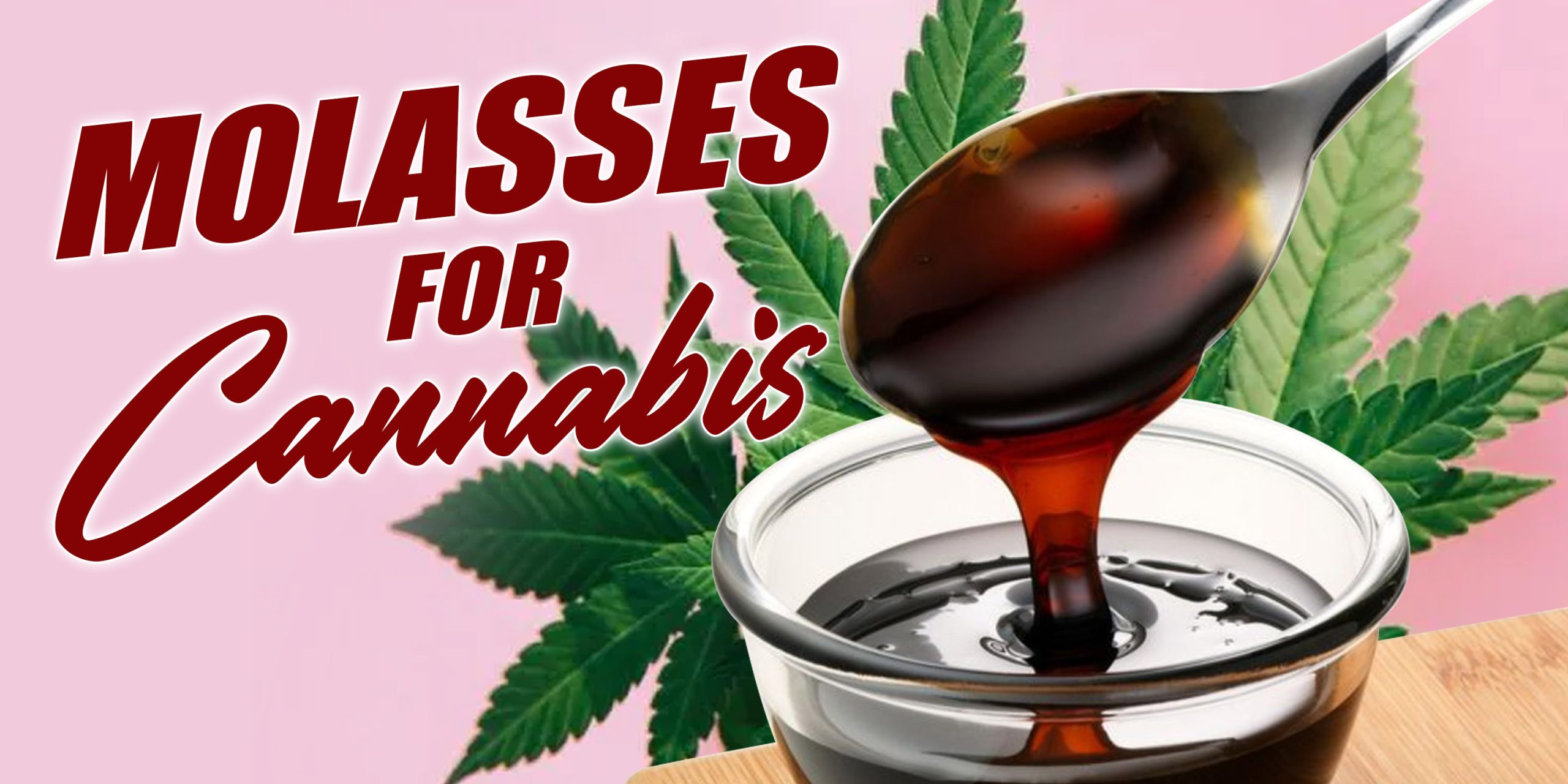 Molasses for Cannabis