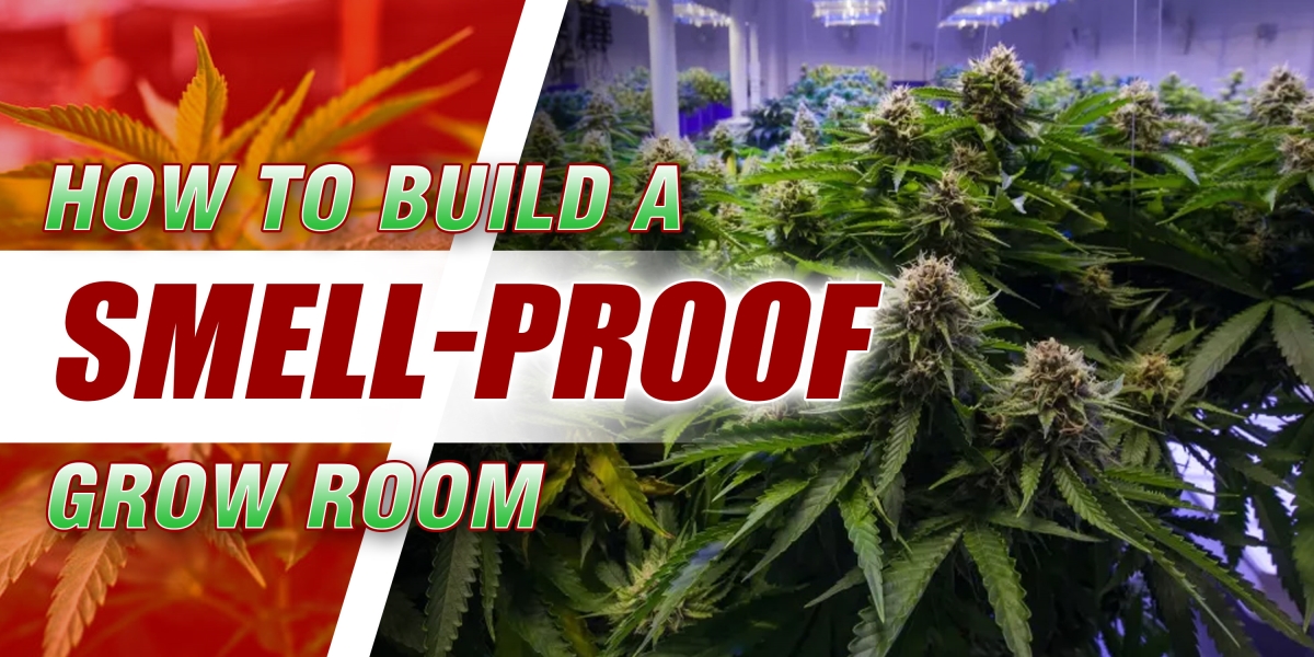 How To Build A Smell-Proof Grow Room