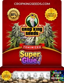 Super Glue Feminized