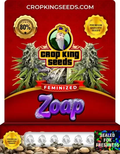 Zoap Feminized