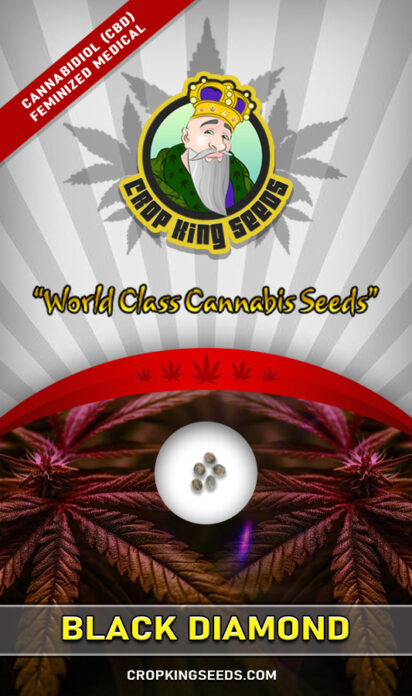Black Diamond Strain CBD