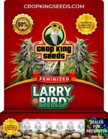 Larry Bird Feminized