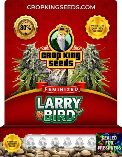 Larry Bird Feminized