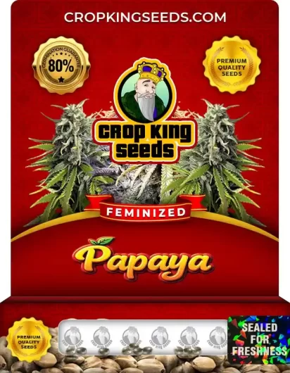 Papaya Strain