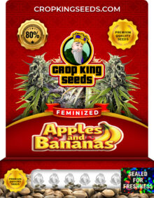 Apples and Bananas Strain
