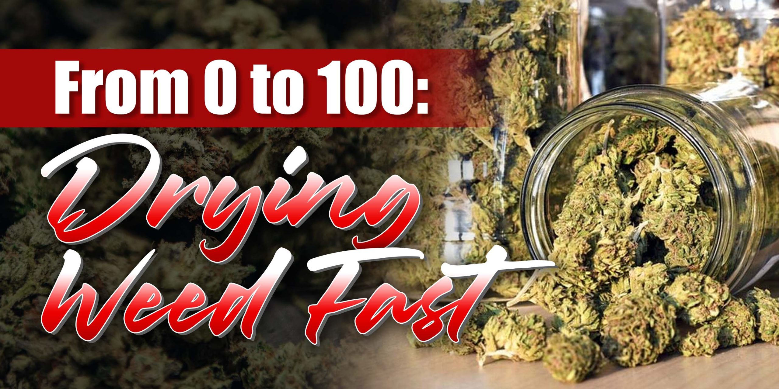 Drying Weed Fast
