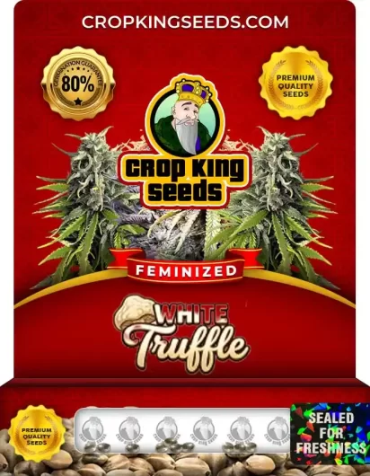 White Truffle Strain