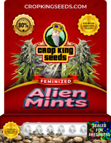 Alien Mints Strain Feminized