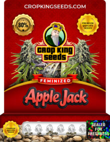 Apple Jack Strain Feminized