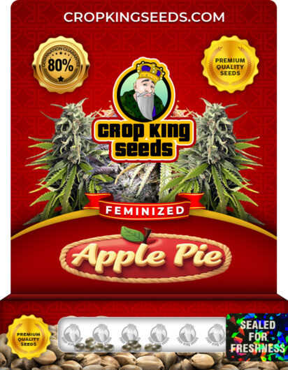 Apple Pie Strain