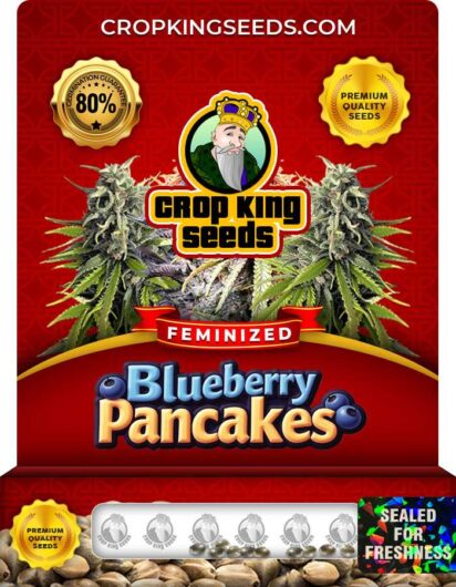 Blueberry Pancakes Strain