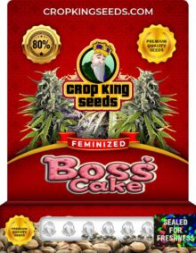 Boss Cake Strain Feminized Marijuana Seeds