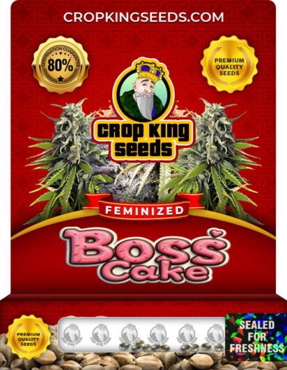 Boss Cake Strain