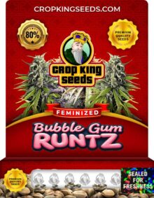 Bubble Gum Runtz Strain
