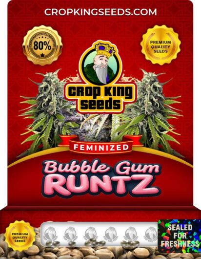 Bubble Gum Runtz Strain
