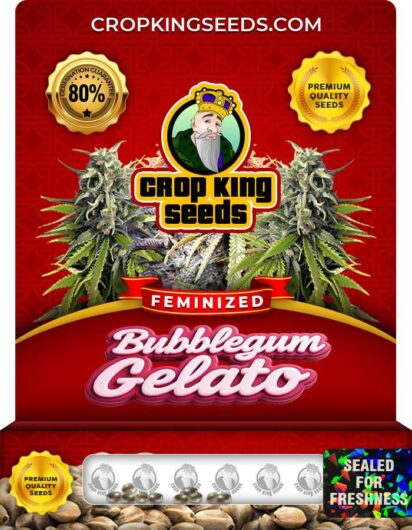 Bubblegum Gelato Strain