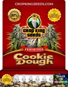 Cookie Dough Feminized