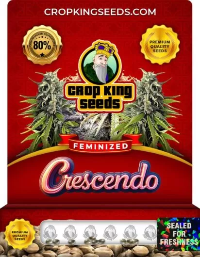 Crescendo Feminized
