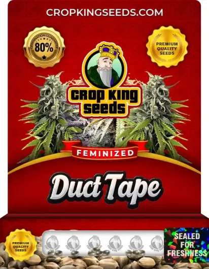 Duct Tape Feminized