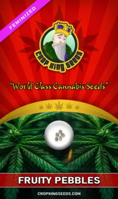 Fruity Pebbles Strain Feminized
