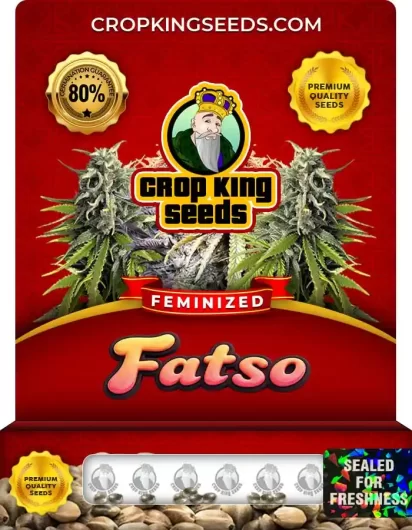 Fatso Feminized