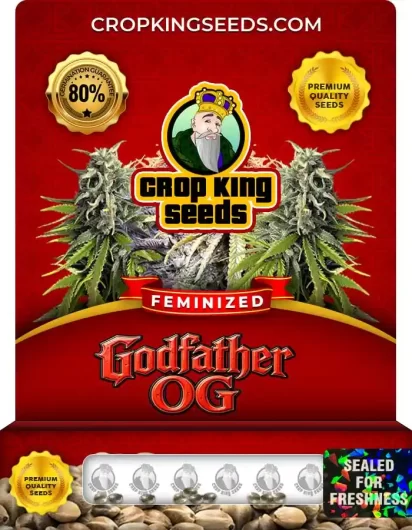 Godfather OG Strain