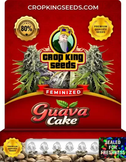 Guava Cake Strain