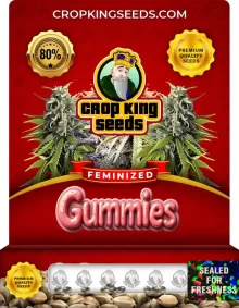 Gummies Strain