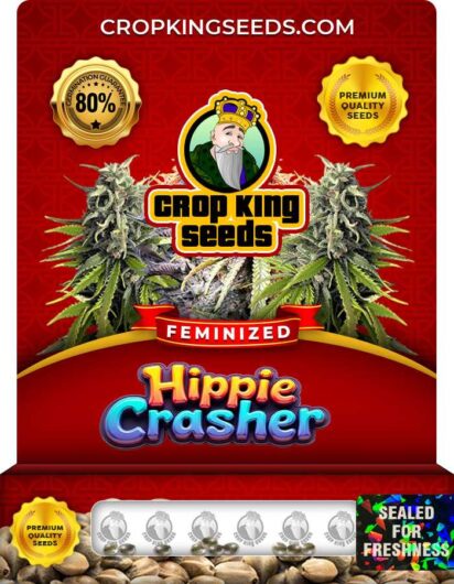 Hippie Crasher Strain